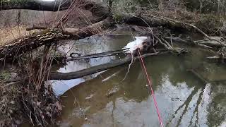 CREEK Fishing For BIG Wild Brown TROUT On New Year’s Eve Part 2 2021 mepps fishing troutfishing [upl. by Airamana]