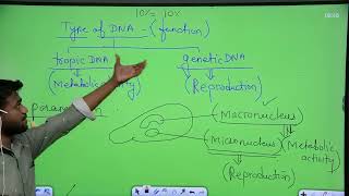 Structure of DNA  Basic Rules Denaturation NEET Foundation Bio All Class by Subhash sir [upl. by Griffis]