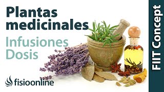 Tratamiento con plantas medicinales  Cómo hacer la infusión dosis y duración de un tratamiento [upl. by Lokin]