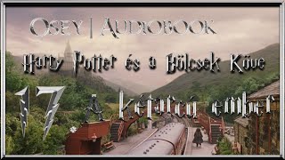 Harry Potter és a Bölcsek Köve hangoskönyv  17 fejezet [upl. by Sulecram]