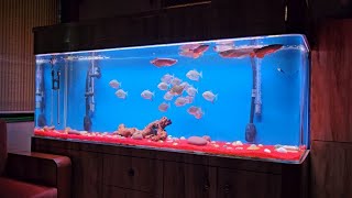 Made in USA  Microbe Lift Aquarium Products [upl. by Benn]