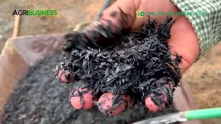 HOW TO Carbonized Rice Hull Loam Soil and Vermitea gamit ang sariling farm waste [upl. by Lalo]