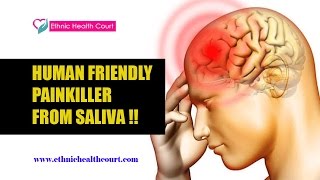 Human friendly Painkiller from Saliva   Ethnic Health Court [upl. by Amej]