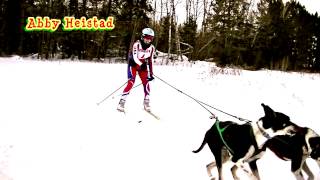 Skijoring 2014 Merrill Winterfest Sled Dog Race [upl. by Uird]