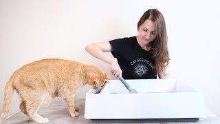 How to Clean Your Cats Litter Box Everything You Need to Know [upl. by Illil]