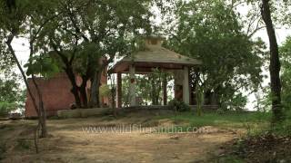 Ancient well at Raja Karn ka Kila in Thanesar Haryana [upl. by Barbara353]