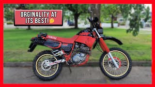 Yamaha XT600  1997 Yamaha xt600 review  short ride Yamaha xt600e  Yamaha xt 600 to speed Review [upl. by Bust]