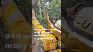 Dryad Wildfire Sensors at the Jackson Demonstration State Forest [upl. by Katherine]