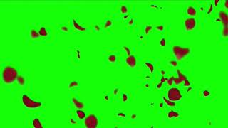 Green Screen Blooms  flower petals floating  falling [upl. by Alsworth]