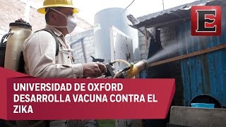 Investigadores mexicanos buscan vacuna contra el zika [upl. by Evetta]