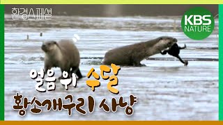 야생동물 겨울나기 고군분투기  환경스페셜 ‘얼음왕국의 생존자’  KBS 20080402 방송 [upl. by Saxela]