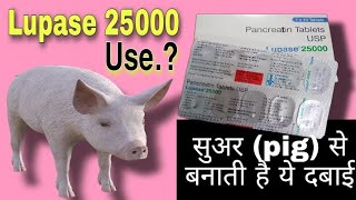 Lupase 25000 usage in Hindi  Creon Tablet benefits and side effects [upl. by Hezekiah615]