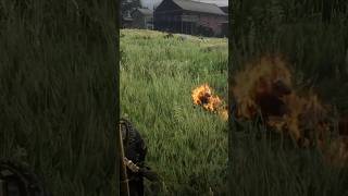 rdr2 reddeadonline rdr2online ps5 gaming [upl. by Glennon]