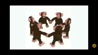 monkey dancing official music video [upl. by Goodspeed]