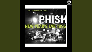 Auld Lang Syne Live at Madison Square Garden New Years Eve 1995 [upl. by Gaven]