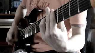 薔薇乙女 Rozen Maiden  Shukuteki metal guitar cover  Video Playthrough [upl. by Ailahtan918]