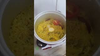 Making Chicken Rice in a Rice Cooker  Bachelors Easy Recipe shorts foodie bachelor [upl. by Ledarf]