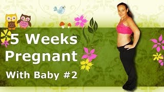 5 Weeks Pregnant With Baby 2 [upl. by Nibbor]