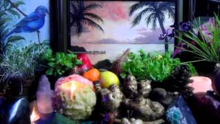 Earth Apple Sunchoke Jerusalem Artichoke Benefits For Diabetes amp Much More Video [upl. by Aziar]