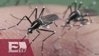 Chiapas el estado con más casos de zika a nivel nacional  Enrique Sánchez [upl. by Rehotsirhc]