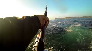 Terrigal NSW fishing bonito [upl. by Migeon]