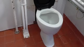 Disabled Toilet at East Parade Public Toilets Bexhill on sea [upl. by Onimod428]