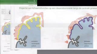 Examentraining H5 Zenuwstelsel [upl. by Ragland]