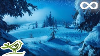 Calm Piano Music with Beautiful Winter Photos • Soothing Music for Studying Relaxation or Sleeping [upl. by Bendicty]