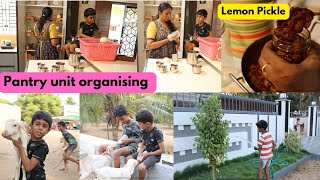 இந்த வாரங்களில் சில தினங்கள்  How i clean Pantry unit How kids spend their holidays lemon pickle🍋 [upl. by Onaicram677]