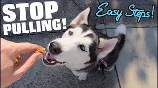 STOP Your Husky From Pulling On The Leash Easy Steps To A Smooth Walk [upl. by Cullie]