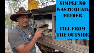 Raising Coturnix Quail for Meat and Eggs  The Best little DIY Quail Feeder  A little About Quail [upl. by Ahsimat337]