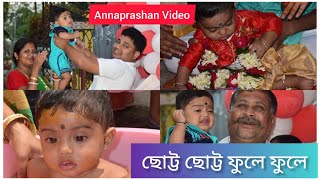 Chotto Chotto fule fule  Srijan lifestyle vlogs  Rice Ceremony Video  Bengali Annaprashan song [upl. by Kire362]