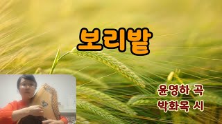 오토 하프 《보리밭》  Cover by Youngran  김영란 TV  Autp Harp   52 오토하프 동영상 [upl. by Nnyledam799]