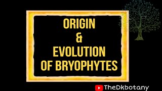 Origin and evolution of bryophytes bsc botany botany bscbotany [upl. by Enimzzaj860]