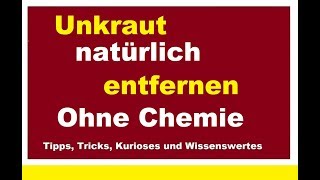 Unkraut natürlich entfernen vernichten Natron Hausmittel Soda natürlicher Unkrautvernichter [upl. by Boris]