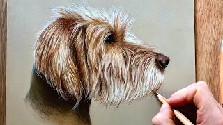 How to draw a pet portrait  Beginner step by step [upl. by Tanberg120]