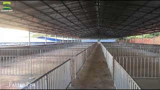 We can provide professional pig farm design planFREE [upl. by Germayne]