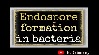 Endospore formation in bacteria । vegetative reproduction in bacteria l [upl. by Parrott]