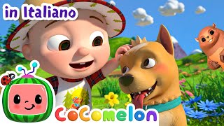 Nella Natura con gli Animali  CoComelon Italiano  Canzoni per Bambini [upl. by Stilla]