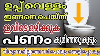 ഉപ്പ് ഇങ്ങനെ ചെയ്താൽ കിടന്നുറങ്ങിയാലും പണം വരും Panavasyam [upl. by Walston674]