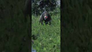 Rdr2 unique detail kill bear gamingcommunity reddeadredmption2 [upl. by Nasya]