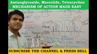 Aminoglycoside Macrolide Tetracycline Mechanism of action  GPAT  NEET PG  STAFF NURSE EXAM [upl. by Eahcim]