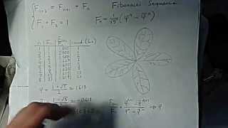 13  oscillations exponential behavior plant idea [upl. by Queston]