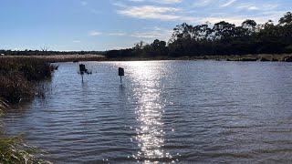 A Quiet Escape in Melbourne Suburbs  NoTalk Bike Ride  Bushy Park Bird Hide [upl. by Ahsien]