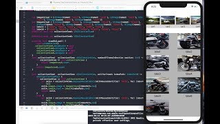 Two Collection Views in One View Controller Swift Language iOS [upl. by Attenat]