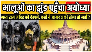 Ayodhya Ram Mandir Jamwant भालुओं का झुंड अयोध्या में कहीं जामवंत की सेना तो मंदिर देखने नहीं आयी [upl. by Romeyn]