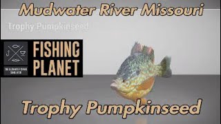 Fishing Planet Trophy Pumpkinseed Mudwater River Missouri [upl. by Nibbor837]