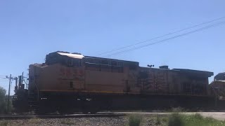 UP5835 leads a NBmeet UP4407 with CSX7876 stop in WoodsboroTx 101523 [upl. by Ayikan]