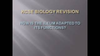 KCSE BIOLOGY How is the ileum adapted to its functions [upl. by Morie]