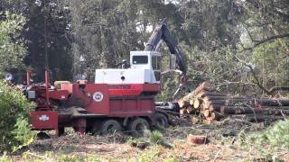 Logging HD  Knuckle boom loader and chipper [upl. by Eeldarb652]